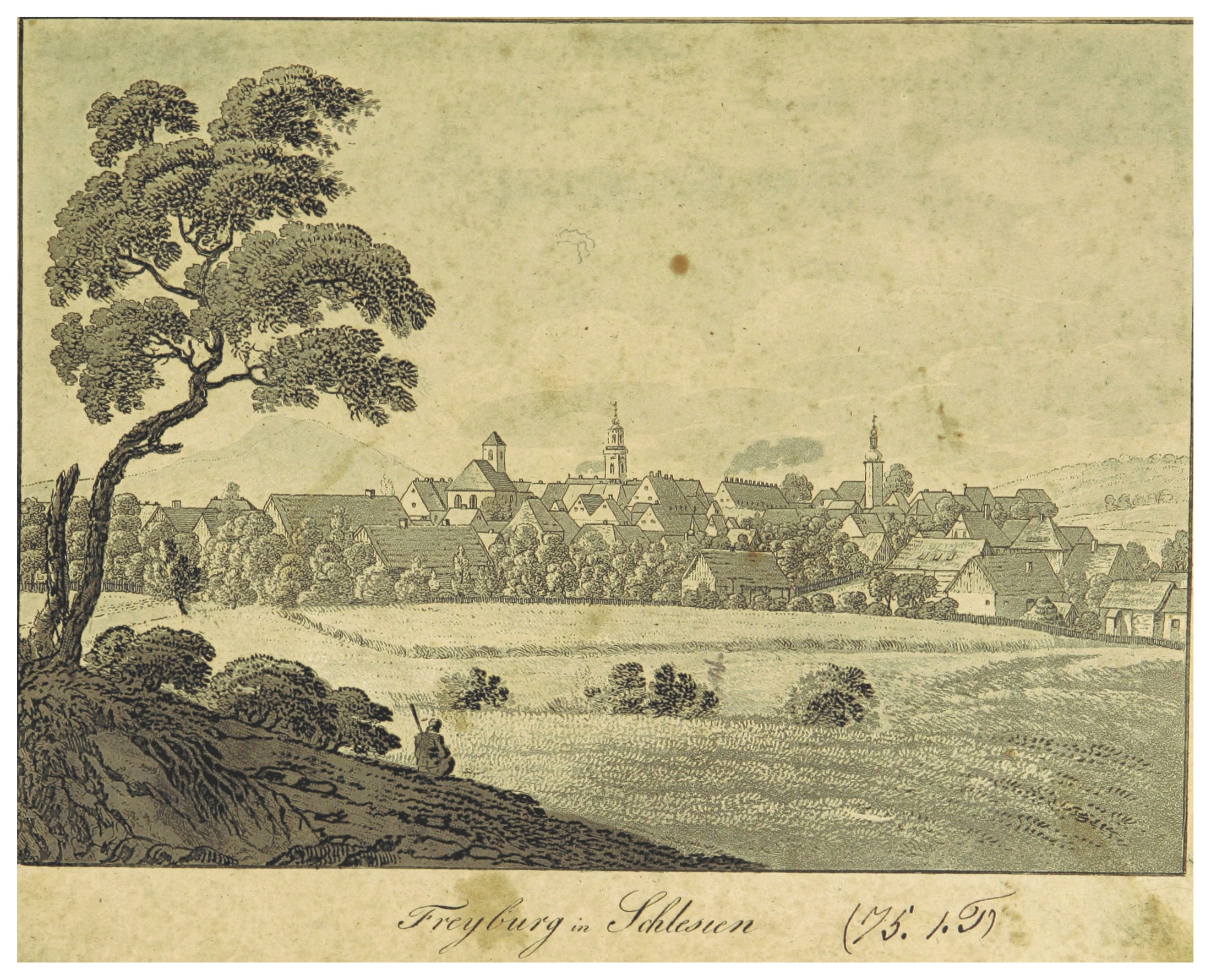 Widok Świebodzic — rycina